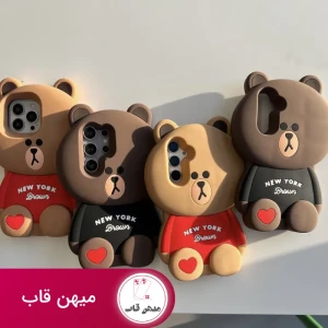 قاب خرس نیویورک bear New York