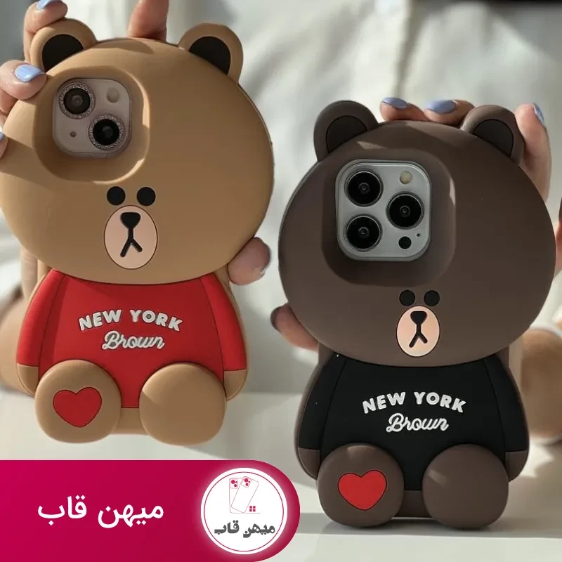 قاب خرس نیویورک bear New York